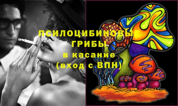 прущая мука Армянск