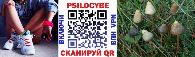 Псилоцибиновые грибы мицелий  Тейково 